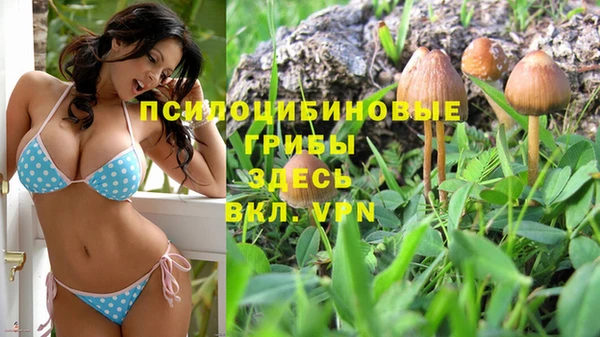 героин Кукмор