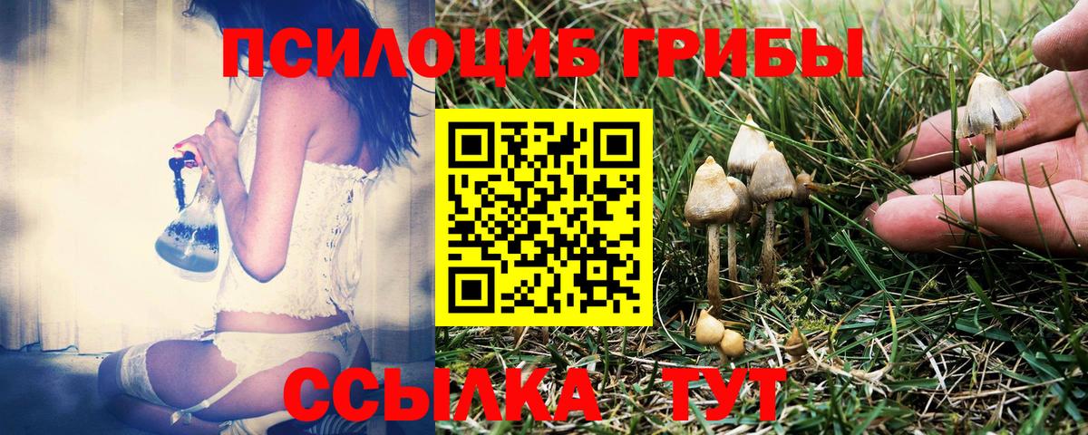 Галлюциногенные грибы MAGIC MUSHROOMS Михайловск