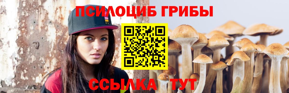 Псилоцибиновые грибы MAGIC MUSHROOMS  Псилоцибиновые грибы Magic Shrooms  Вход с VPN  Михайловск 